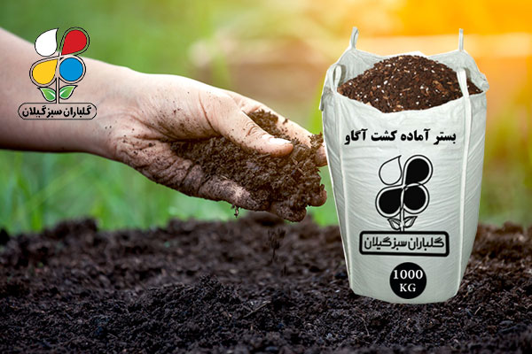 بستر آماده کشت