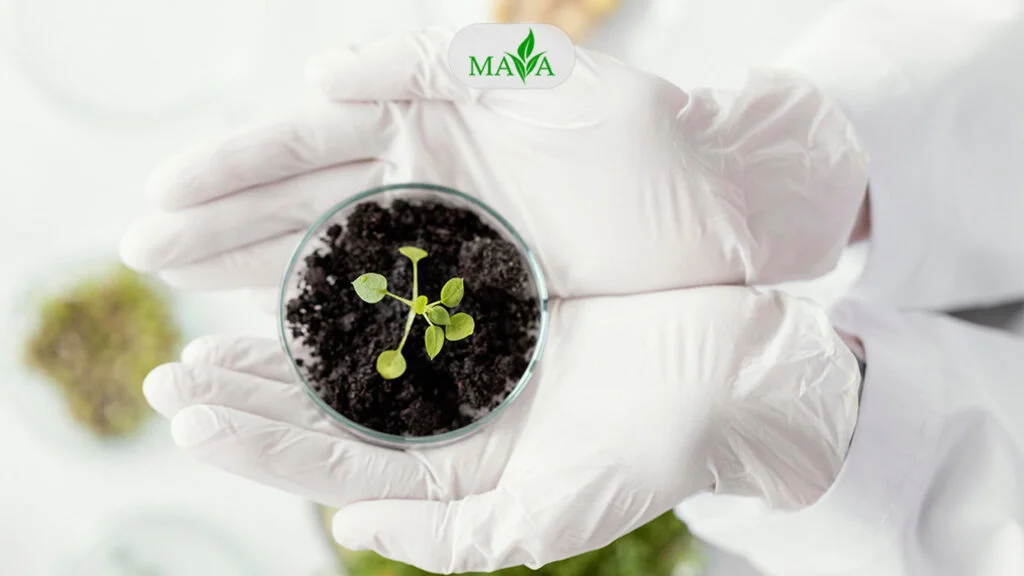 هیومیک اسید مایا رشد