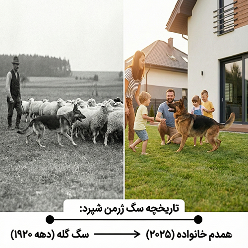 سگ ژرمن شپرد